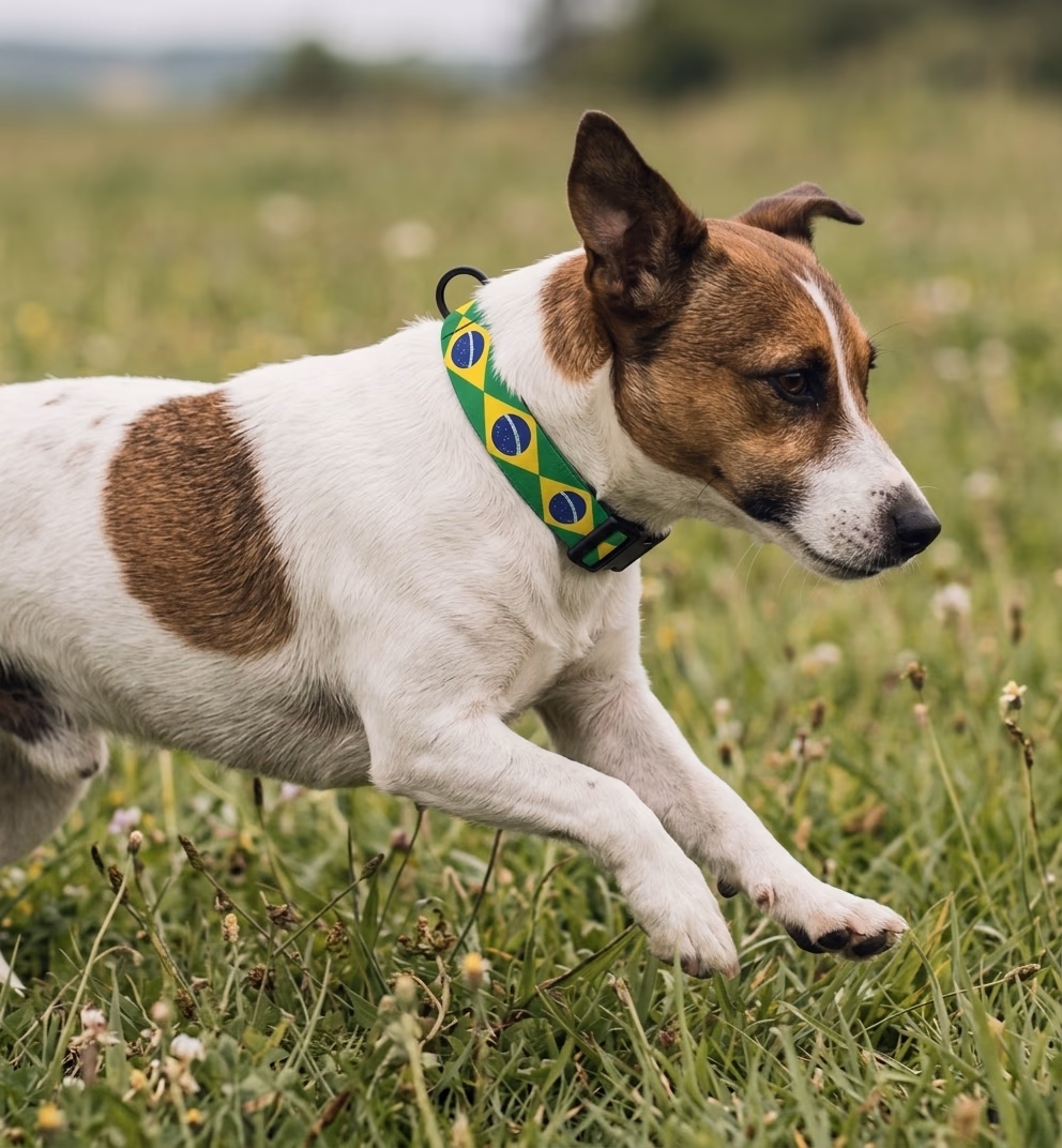 Brazil Collar — Amu Country Series, view 1 of 3