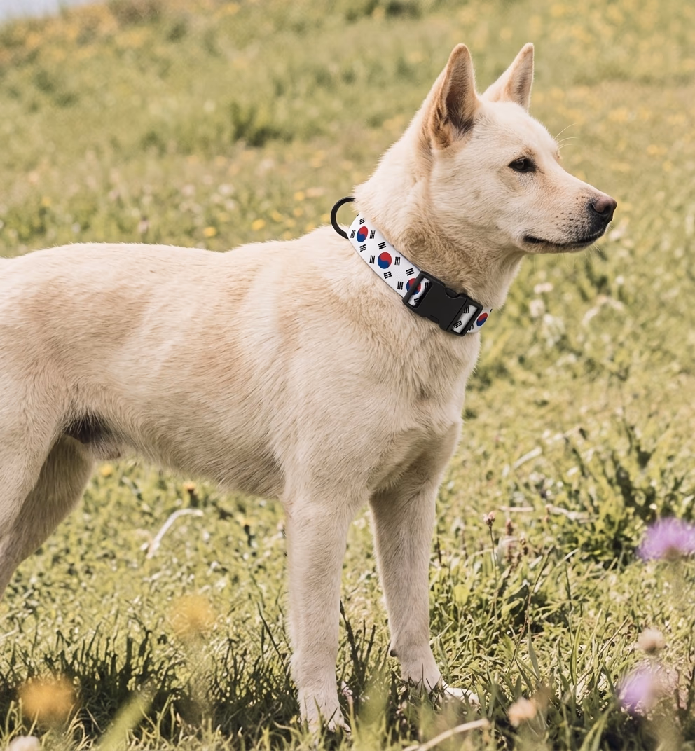 South Korea Collar — Amu Country Series, view 1 of 3